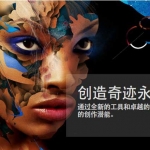 Win版 PR 2020【必须win10】