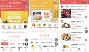 A0041最新版微信狮子鱼社区团购小程序去后门独立开源版v14.3.0_带数据库_带前端