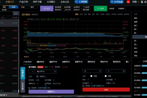 A0119定制版单向交易两融系统/配资系统/股票交易系统