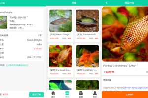A0152增强功能新推中英文双语言理财项目/养鱼金融投资理财源码/支持商城抽奖/投资收益/余额宝功能