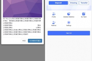 A0235双语言版虚拟币投资系统/USDT充值
