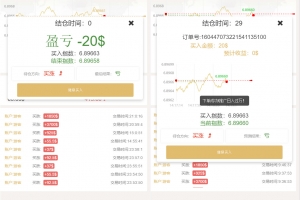 A0308站长亲测源码-白色UI新版币圈完美运行美元币圈+安装教程+已接支付