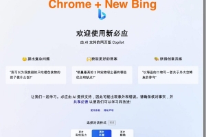 A0325微软New Bing完美聊天机器人源码，支持ChatGPT提示词 国内可用，基本兼容微软 Bing AI 所有功能