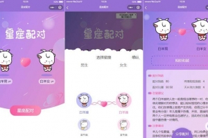 A0354微信趣味小程序源码 恋爱配对微信小程序源码 星座男女配对微信小程序源码