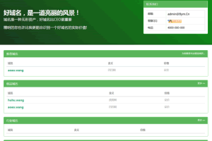 A0602一套PHP开发的绿色风格域名销售管理系统网站源码/自适应电脑+手机端