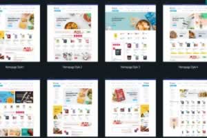 A0805–Bacola 1.4.2 破解版 – 杂货店和食品电子商务WordPress主题