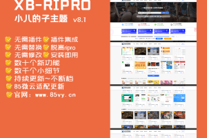 A0887–【RiPro子主题】小八子主题v8.1，极致美化，功能超乎所想