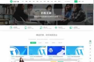 Q031-CeoEdu-Pro主题免授权开心版 多商户高端教育专类型主题