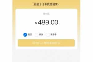 Q076-美团.拼多多.京东 源码 三合一代付源码