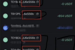 Q156-开源USDT地址管理系统：防0U攻击源码，地址匹配监控，TRX尾数转账模拟，附详细安装指南