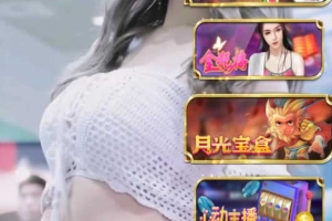 P486s–拉菲系列搭建教程