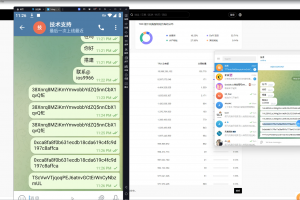 Z047–假TG假飞机2.0中文版/篡改钱包地址/支持篡改三链/带搭建视频教程